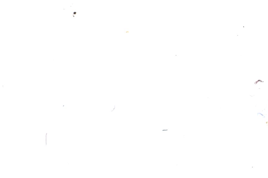 Image 58